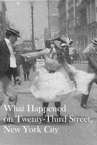 What Happened on Twenty-Third Street, New York City image