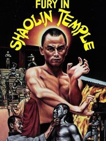 Fury in Shaolin Temple image