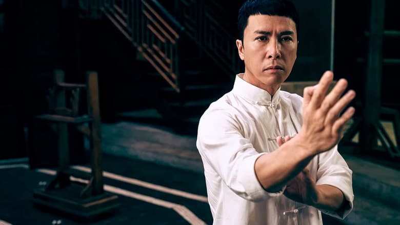 Ip Man 3 image