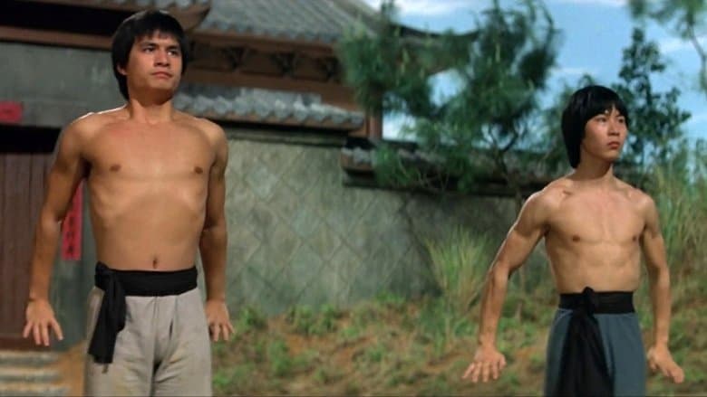 The New Shaolin Boxers image