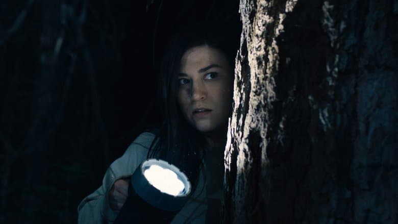 Stranger in the Woods image