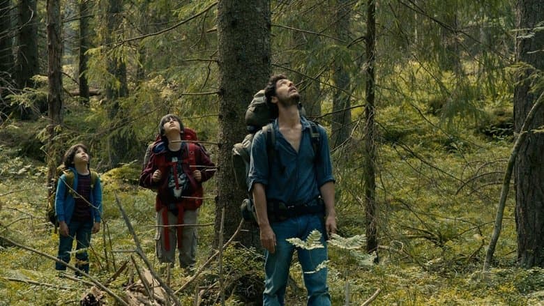 Into the Forest image