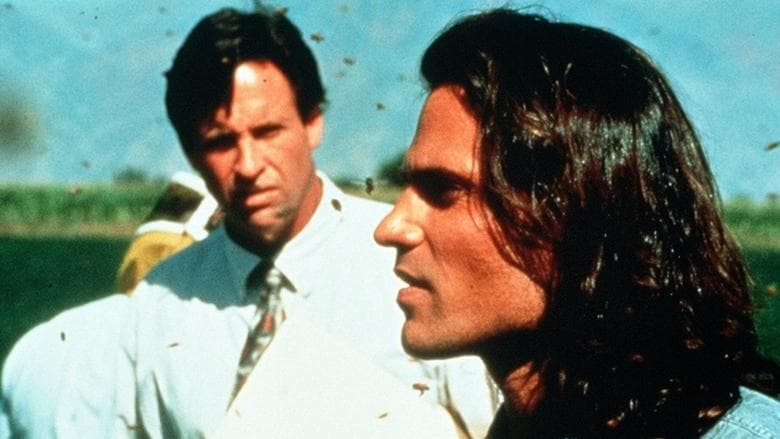 Deadly Invasion: The Killer Bee Nightmare image