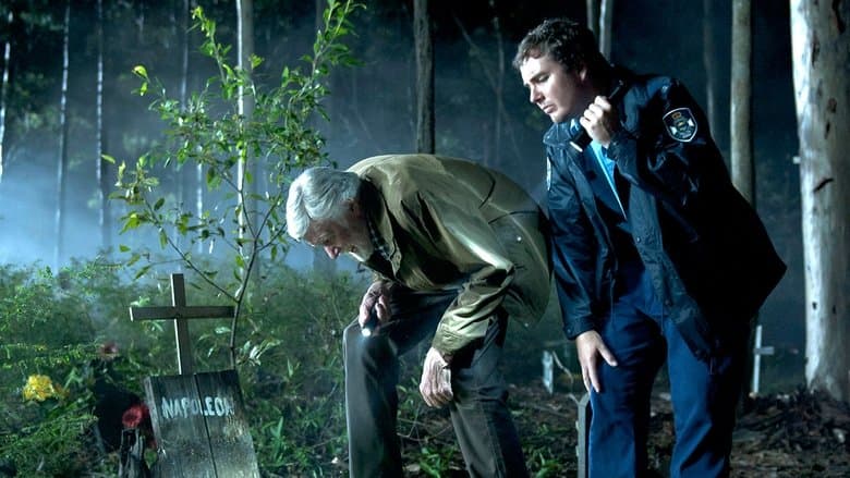 The Strange Calls image