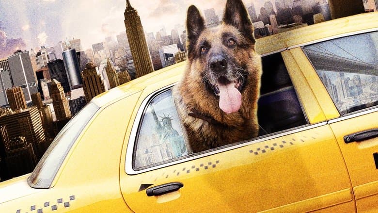 Cool Dog image
