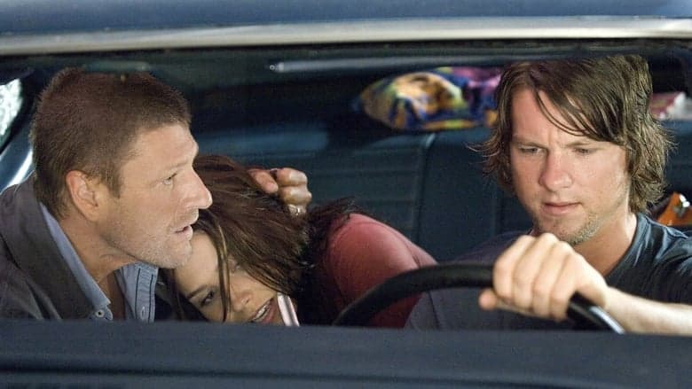 The Hitcher image