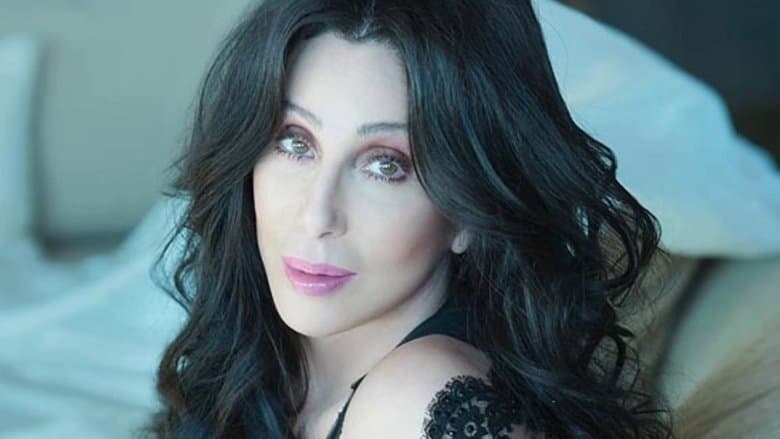 Cher ‎– The Very Best Of Cher - The Video Hits Collection image