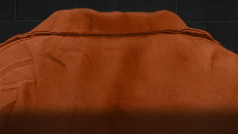 I (Almost) Got Away With It image