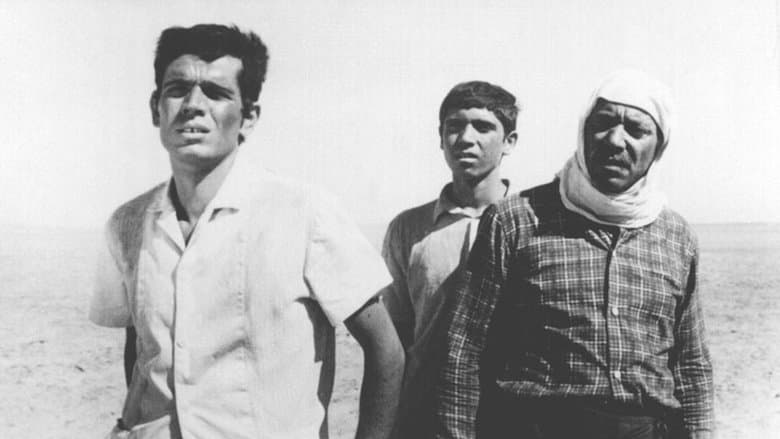 The Dupes image