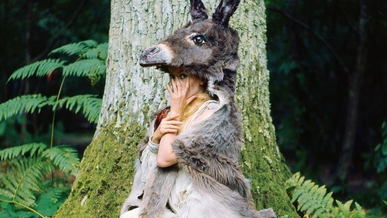 Donkey Skin image
