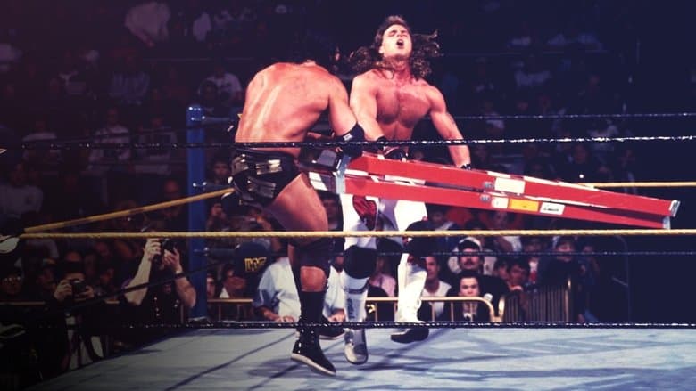 WWE WrestleMania X image
