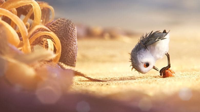 Piper image