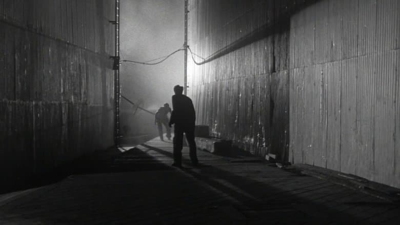 Panic in the Streets image