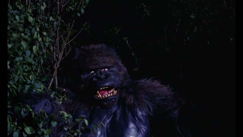 Konga image