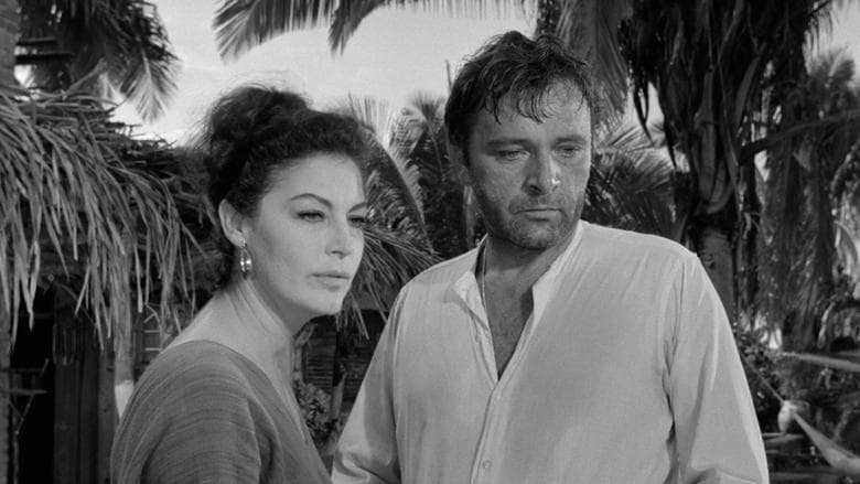 The Night of the Iguana image