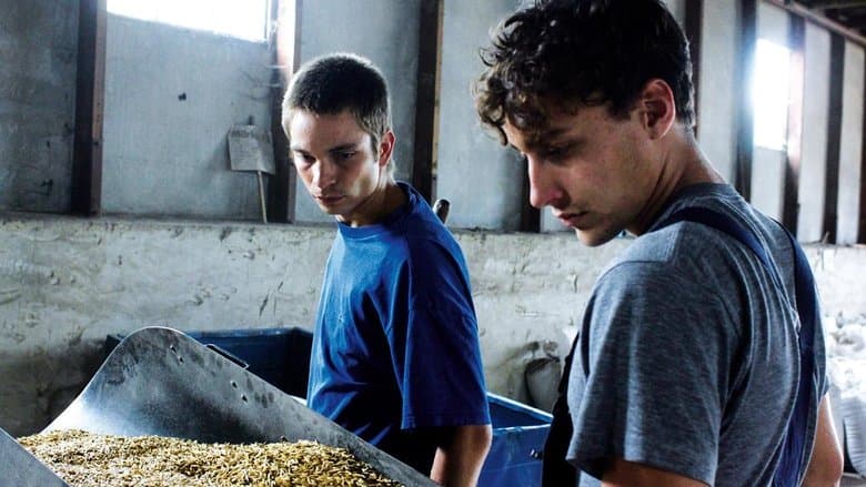 Harvest image