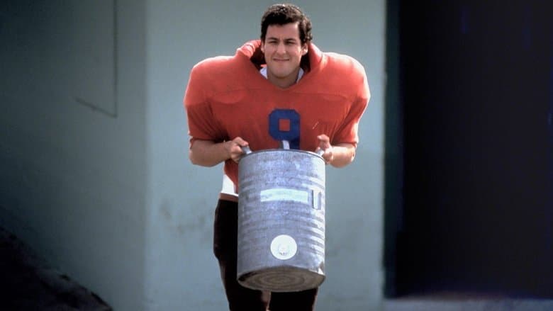 The Waterboy image