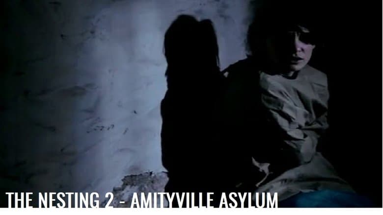 The Amityville Asylum image