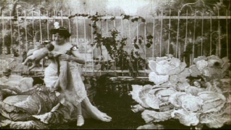 The Cabbage-Patch Fairy image
