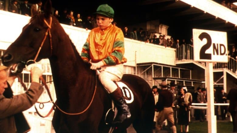 The Rainbow Jacket image