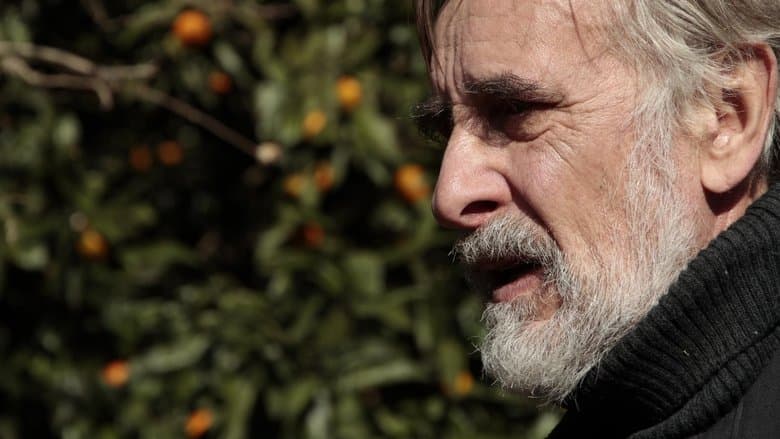Tangerines image