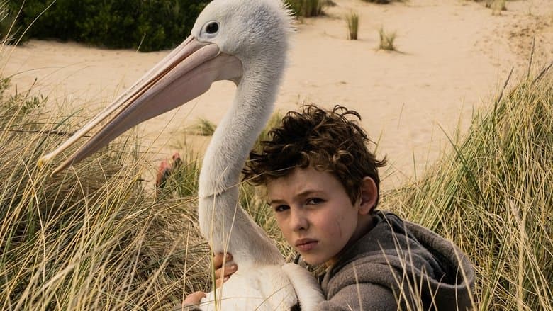 Storm Boy image
