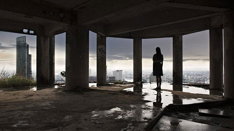 The Promise image