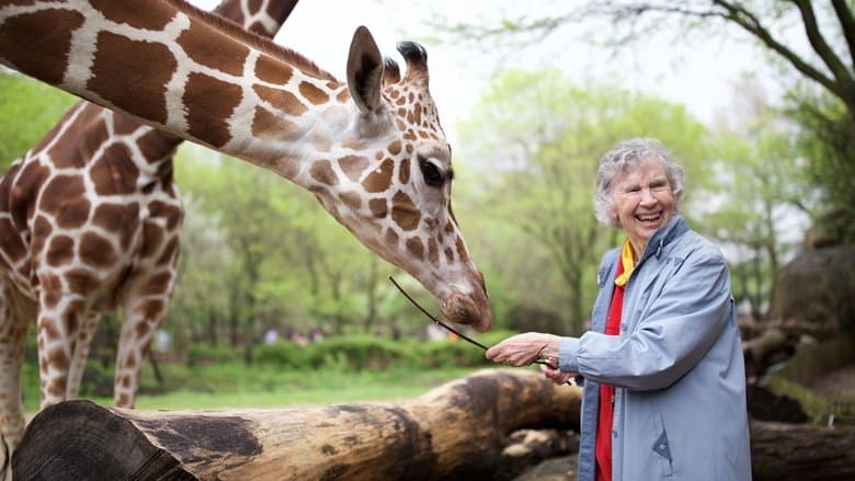 The Woman Who Loves Giraffes image