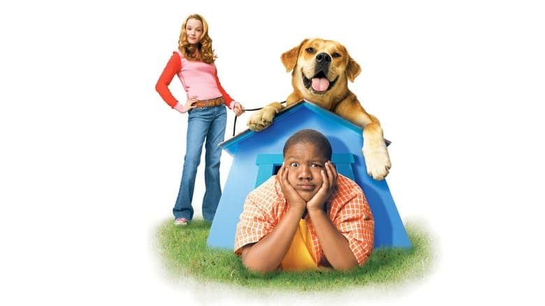 Life Is Ruff image