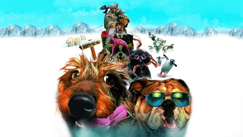 Chilly Dogs image