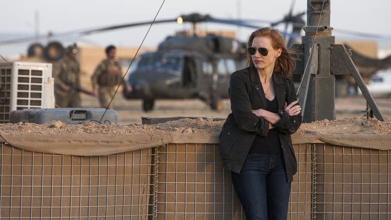 Zero Dark Thirty image