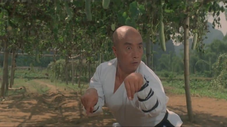 Martial Arts of Shaolin image