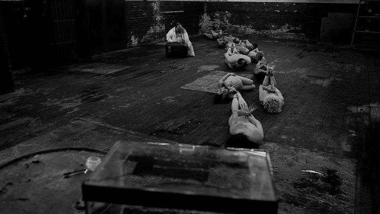 The Human Centipede 2 (Full Sequence) image