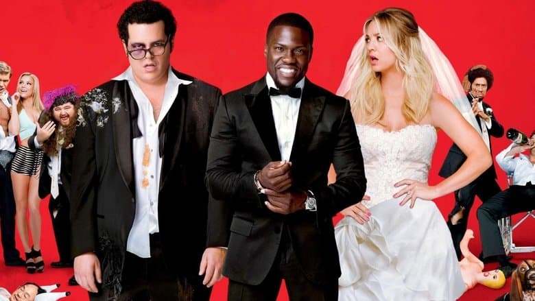 The Wedding Ringer image