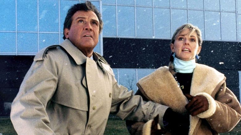 The Return of the Six-Million-Dollar Man and the Bionic Woman image