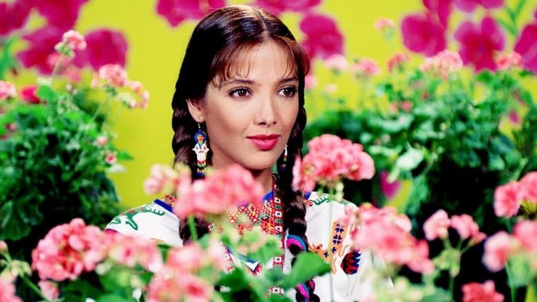 María Isabel image