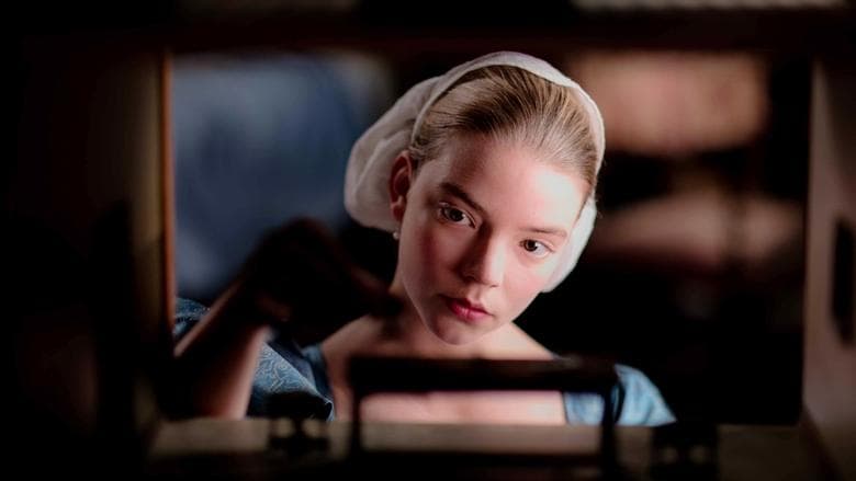 The Miniaturist image