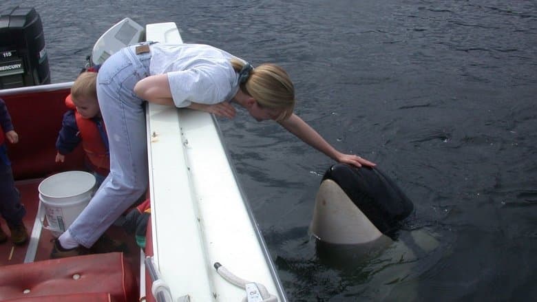 The Whale image