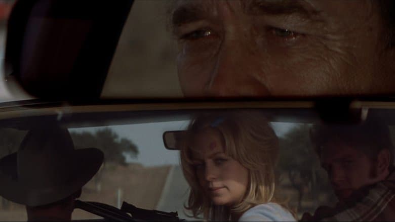 The Sugarland Express image