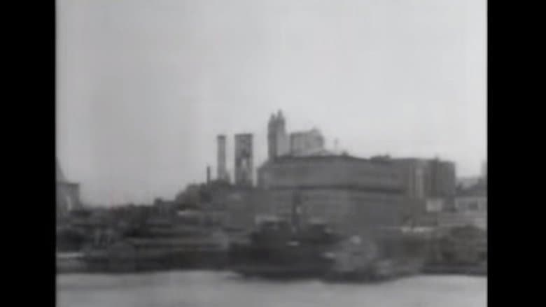 Skyscrapers of New York City, from the North River image