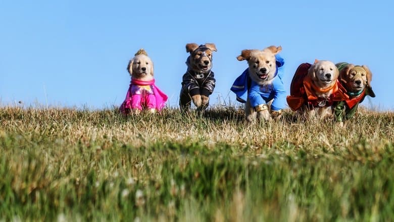 Super Buddies image