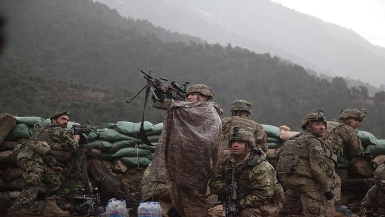 The Hornet's Nest image