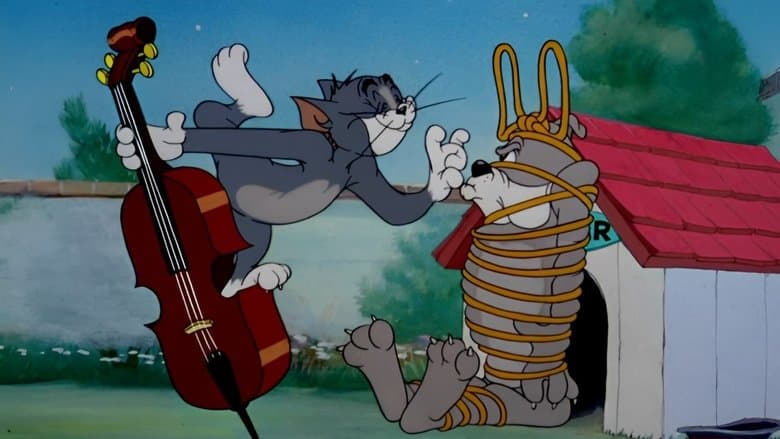 Solid Serenade image