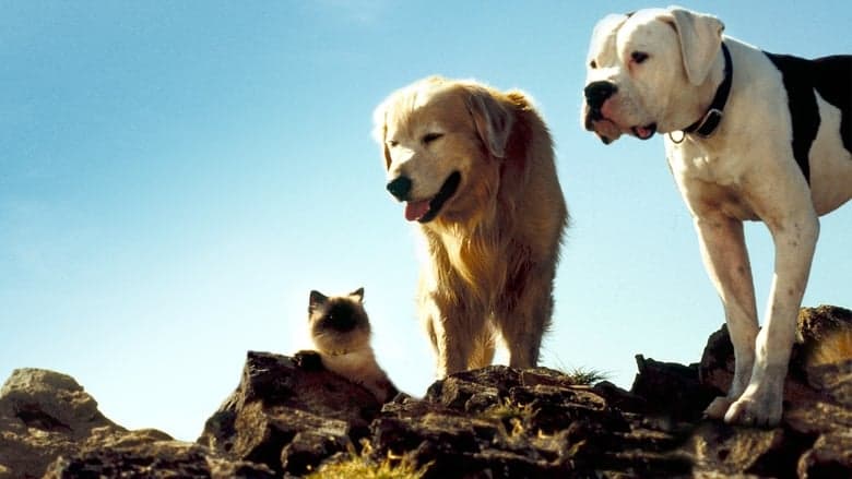 Homeward Bound: The Incredible Journey image