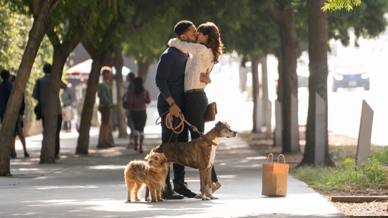 Dog Days image