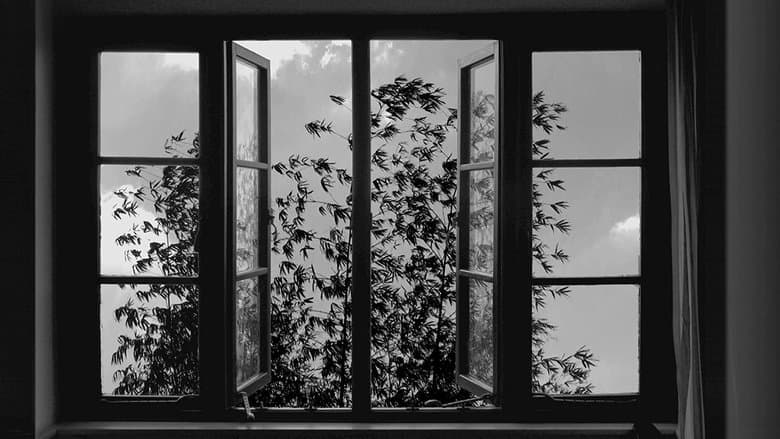 24 Frames image