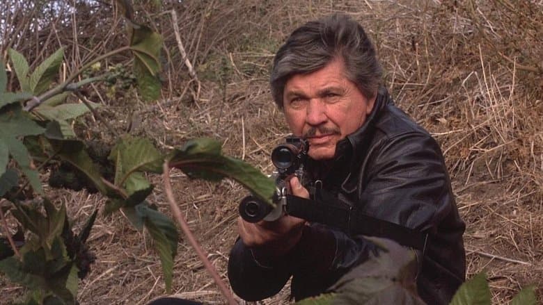 Death Wish 4: The Crackdown image