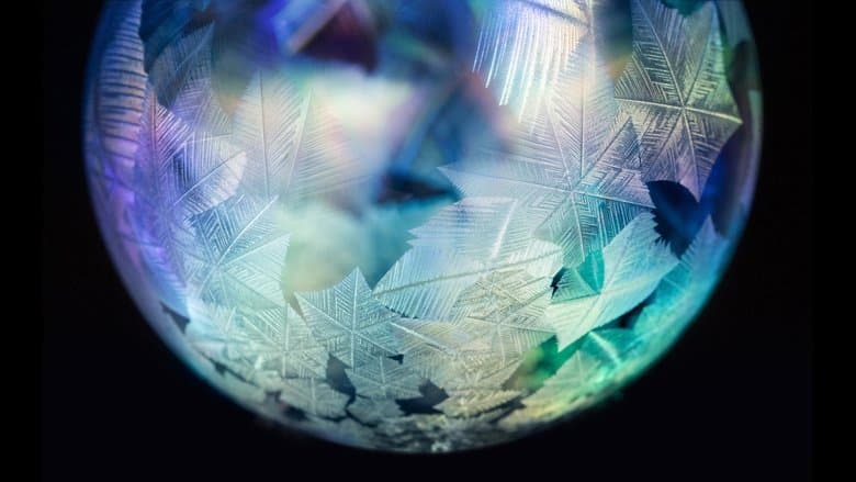 Forces of Nature with Brian Cox image