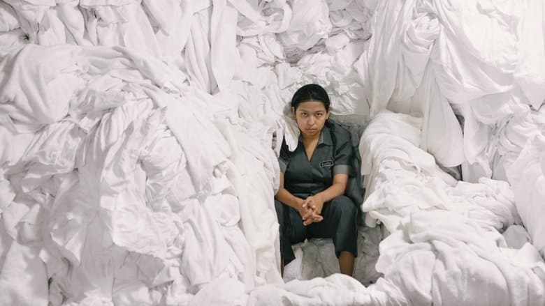 The Chambermaid image
