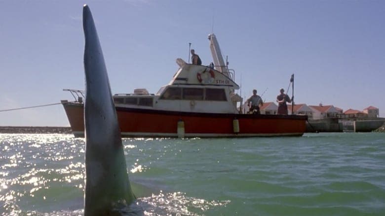 Shark Attack 2 image